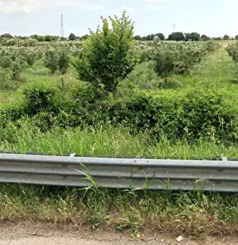 Foto annuncio 5
