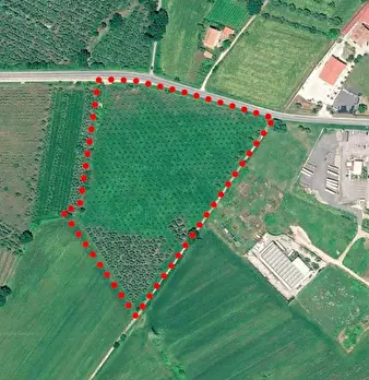 Foto annuncio 6