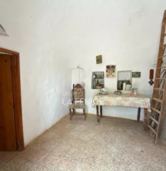 Foto annuncio 9