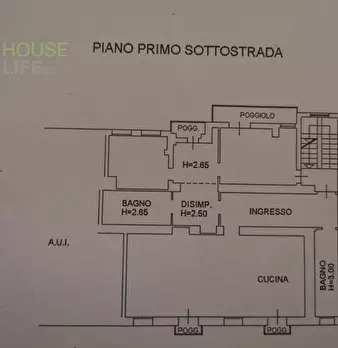 Foto annuncio 8