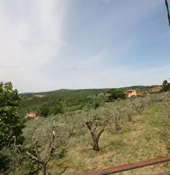 Foto annuncio 20