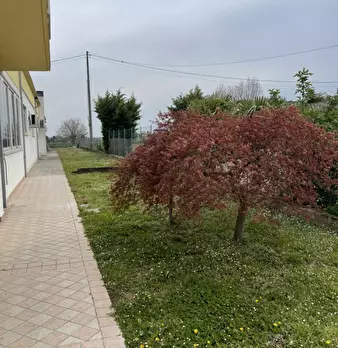 Foto annuncio 10