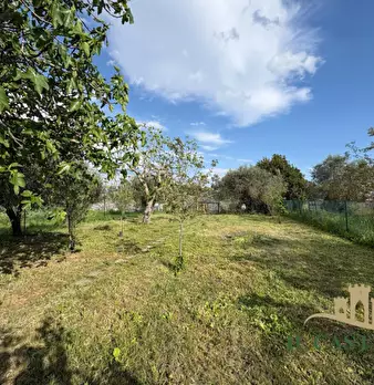 Foto annuncio 29