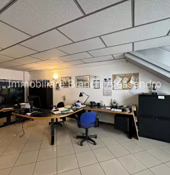 Foto annuncio 9