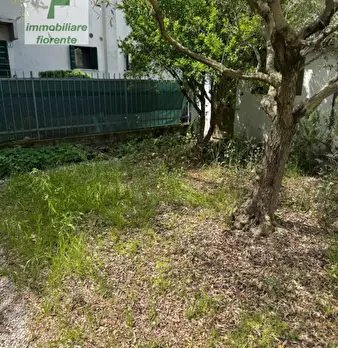Foto annuncio 15