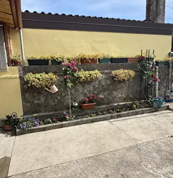 Foto annuncio 6
