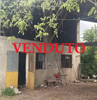Foto annuncio 1
