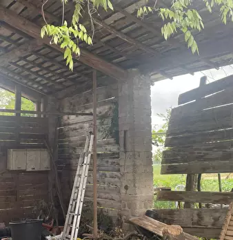 Foto annuncio 11