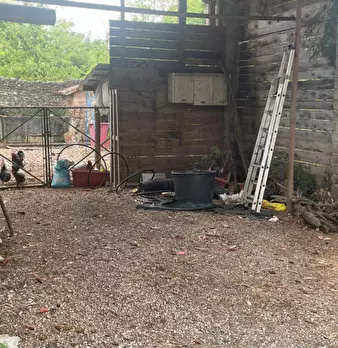 Foto annuncio 12