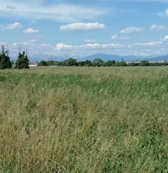 Foto annuncio 12