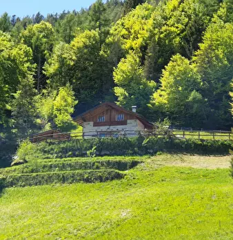 Foto annuncio 18