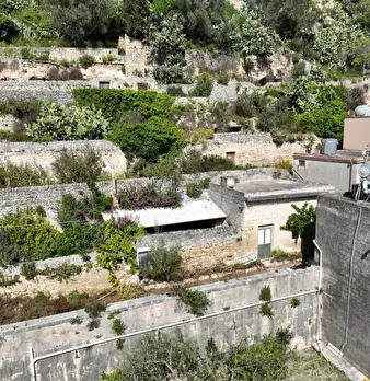Foto annuncio 8