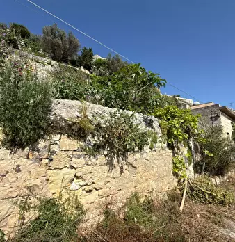 Foto annuncio 13