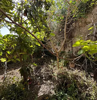 Foto annuncio 18