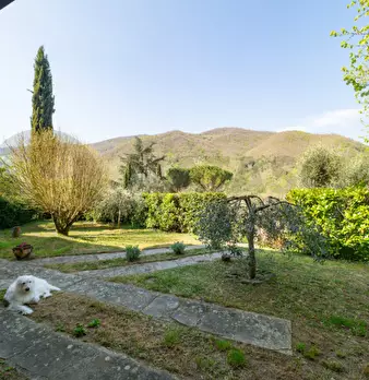 Foto annuncio 25