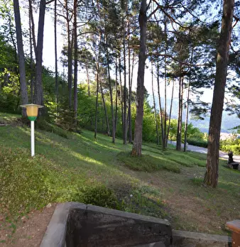 Foto annuncio 26