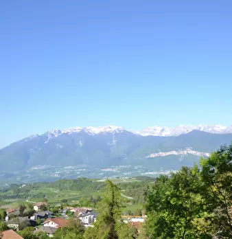 Foto annuncio 29