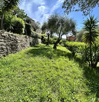 Foto annuncio 12