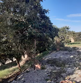 Foto annuncio 4