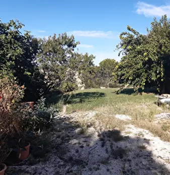 Foto annuncio 5