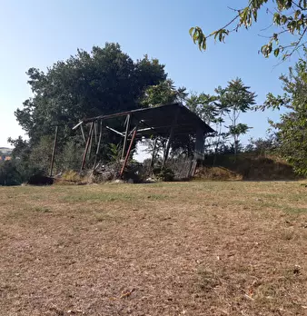 Foto annuncio 7