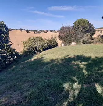 Foto annuncio 8