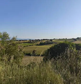 Foto annuncio 10