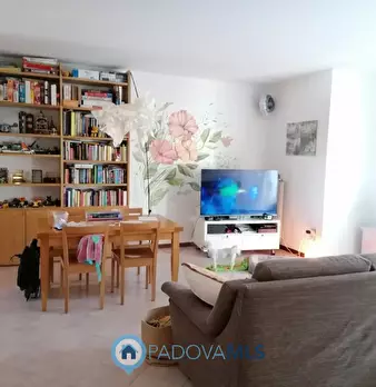 Foto annuncio 4