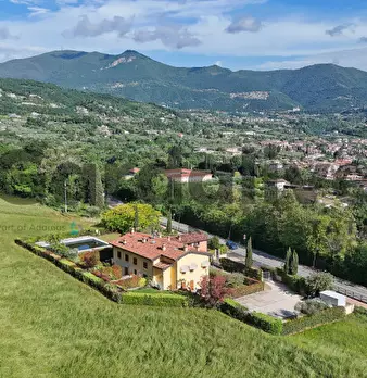 Foto annuncio 41