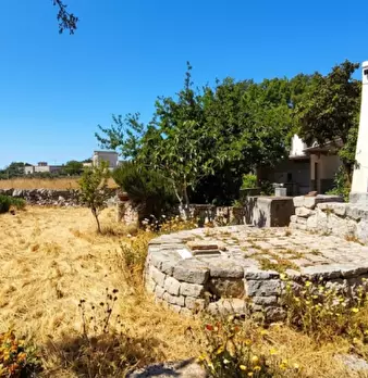 Foto annuncio 9