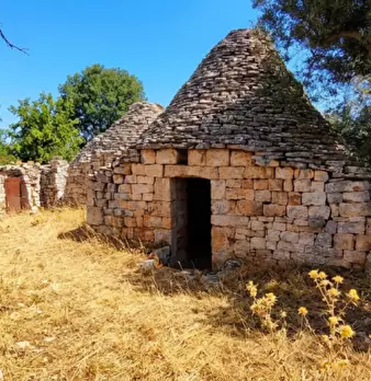 Foto annuncio 10