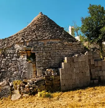 Foto annuncio 11