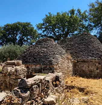Foto annuncio 12
