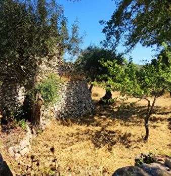 Foto annuncio 13