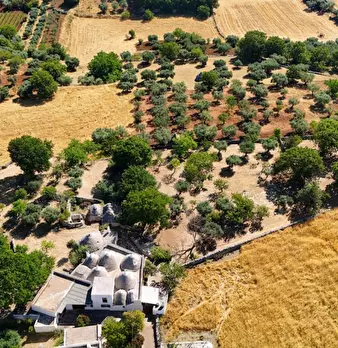 Foto annuncio 14