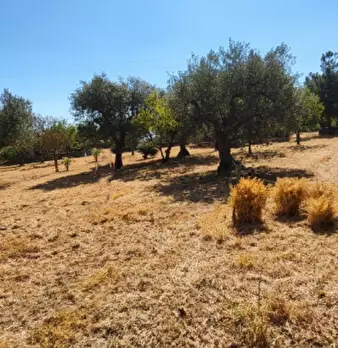 Foto annuncio 54