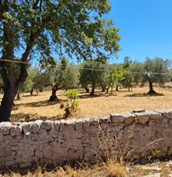 Foto annuncio 55