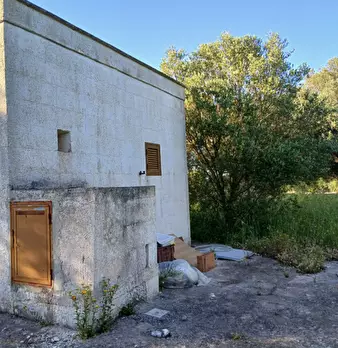 Foto annuncio 1