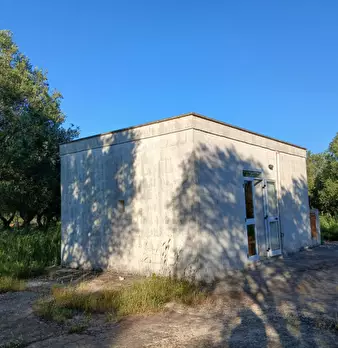 Foto annuncio 2