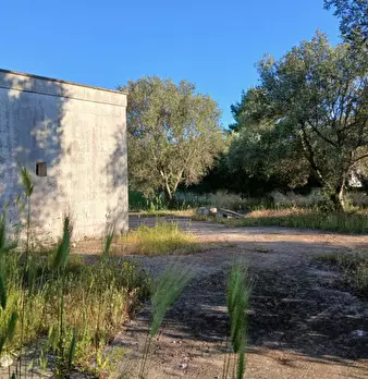 Foto annuncio 5