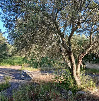 Foto annuncio 17