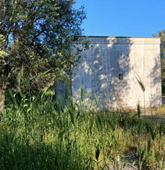 Foto annuncio 18
