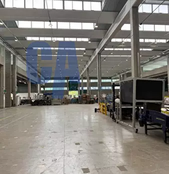 Foto annuncio 11