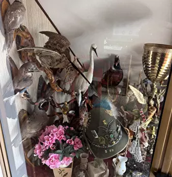 Foto annuncio 20