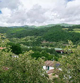 Foto annuncio 30