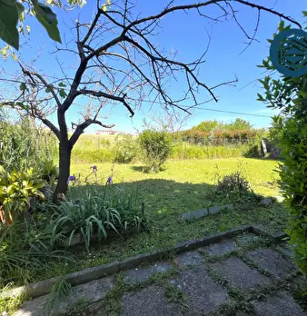 Foto annuncio 28