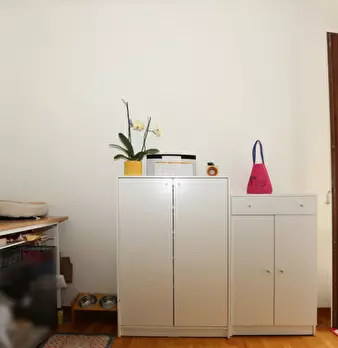 Foto annuncio 21