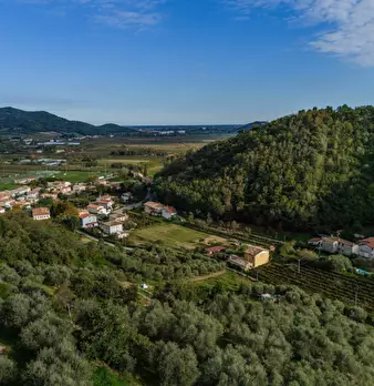 Foto annuncio 1