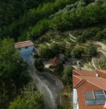 Foto annuncio 7