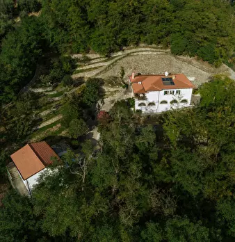 Foto annuncio 8